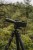 ACCUFIRE OMNIS Spotting Scope